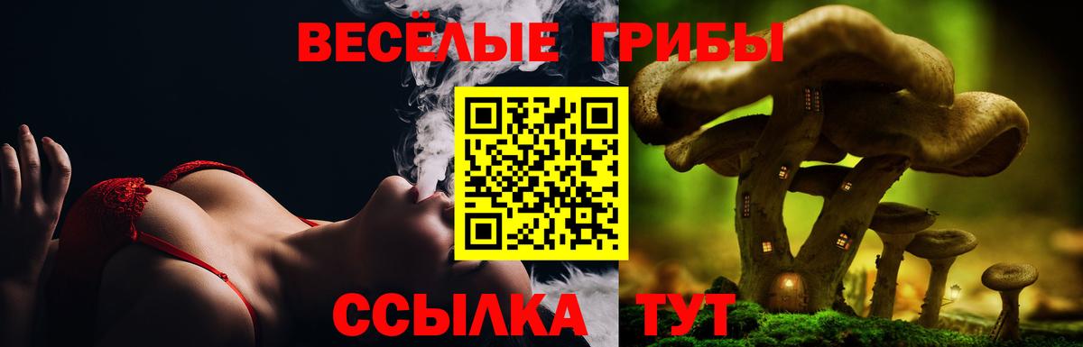 Десногорск  Псилоцибиновые грибы MAGIC MUSHROOMS  Псилоцибиновые грибы прущие грибы  что такое   Вход с VPN 